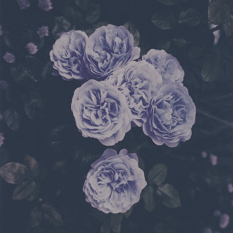 22f85-tumblr_mpl2gda0o71qg2ypco1_500-3849